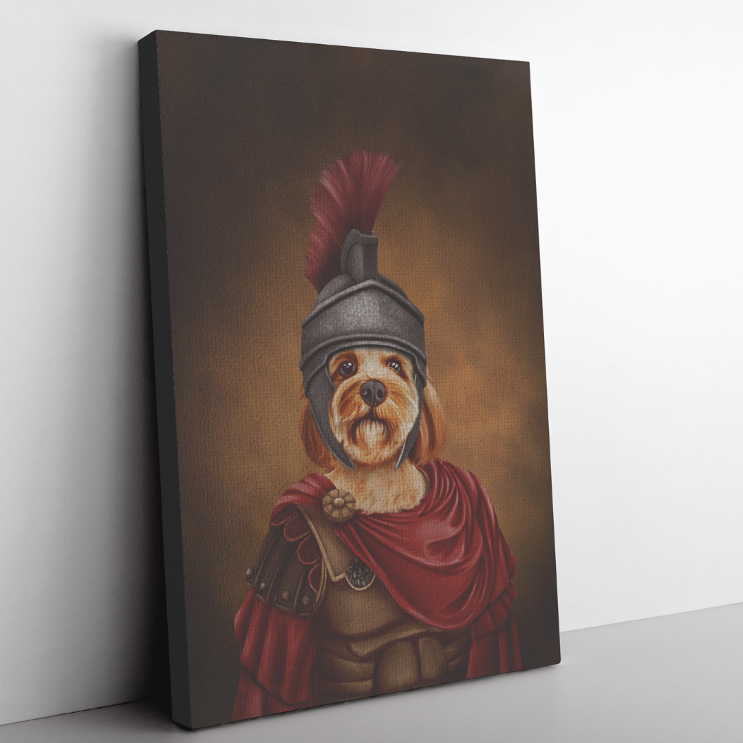 Funky pets, Regal Pets, Roman, The Count, Colonel, Pet Portraits