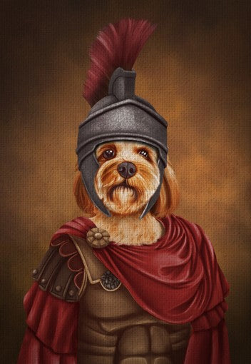 cavoodle dog in a roman warrior outfit