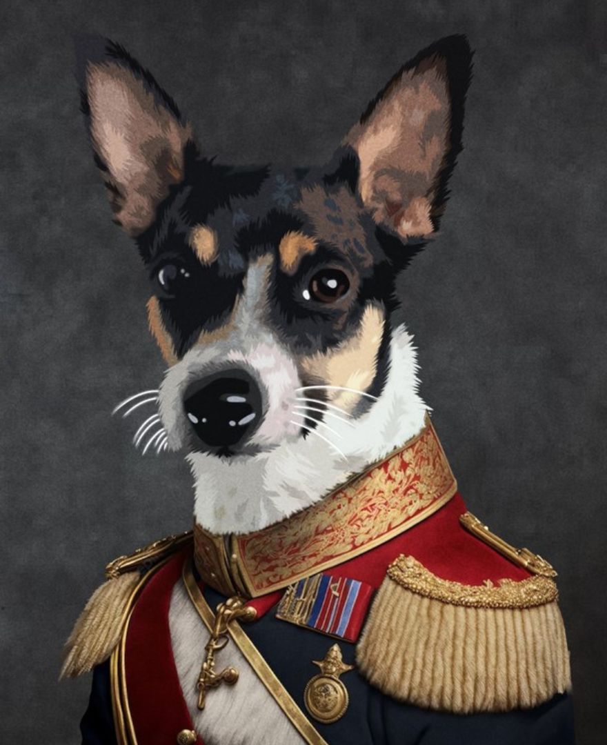 Black and white dog in a military outfit