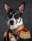 Black and white dog in a military outfit