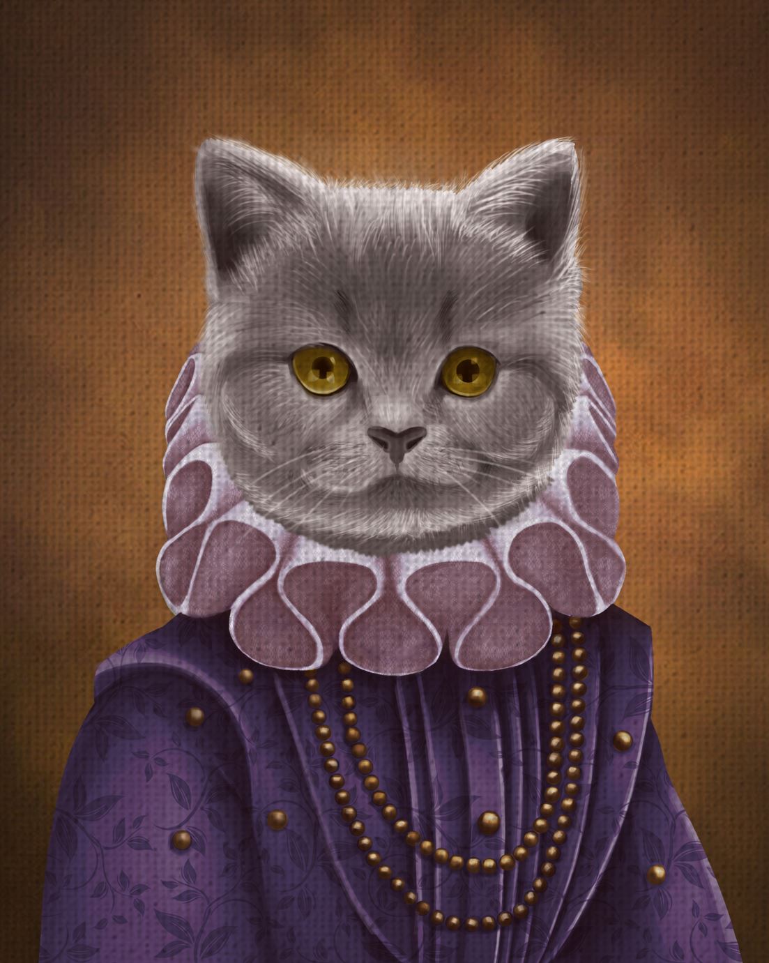 Grey cat in a queens outfit