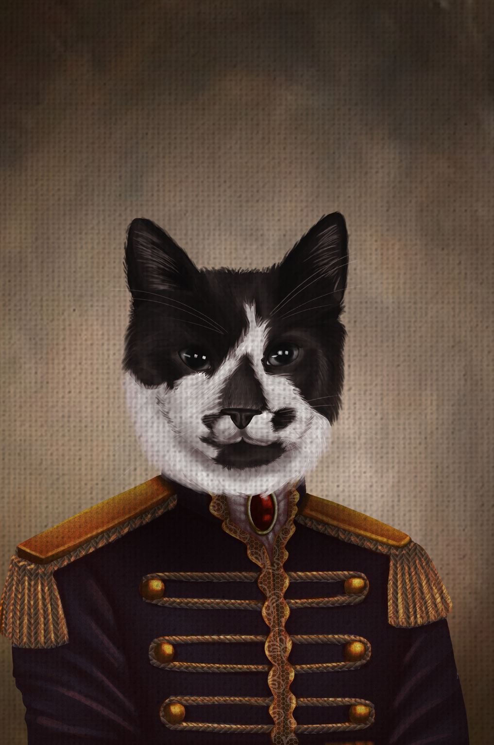 black and white cat in a historical suit