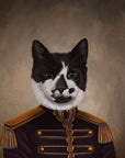 black and white cat in a historical suit