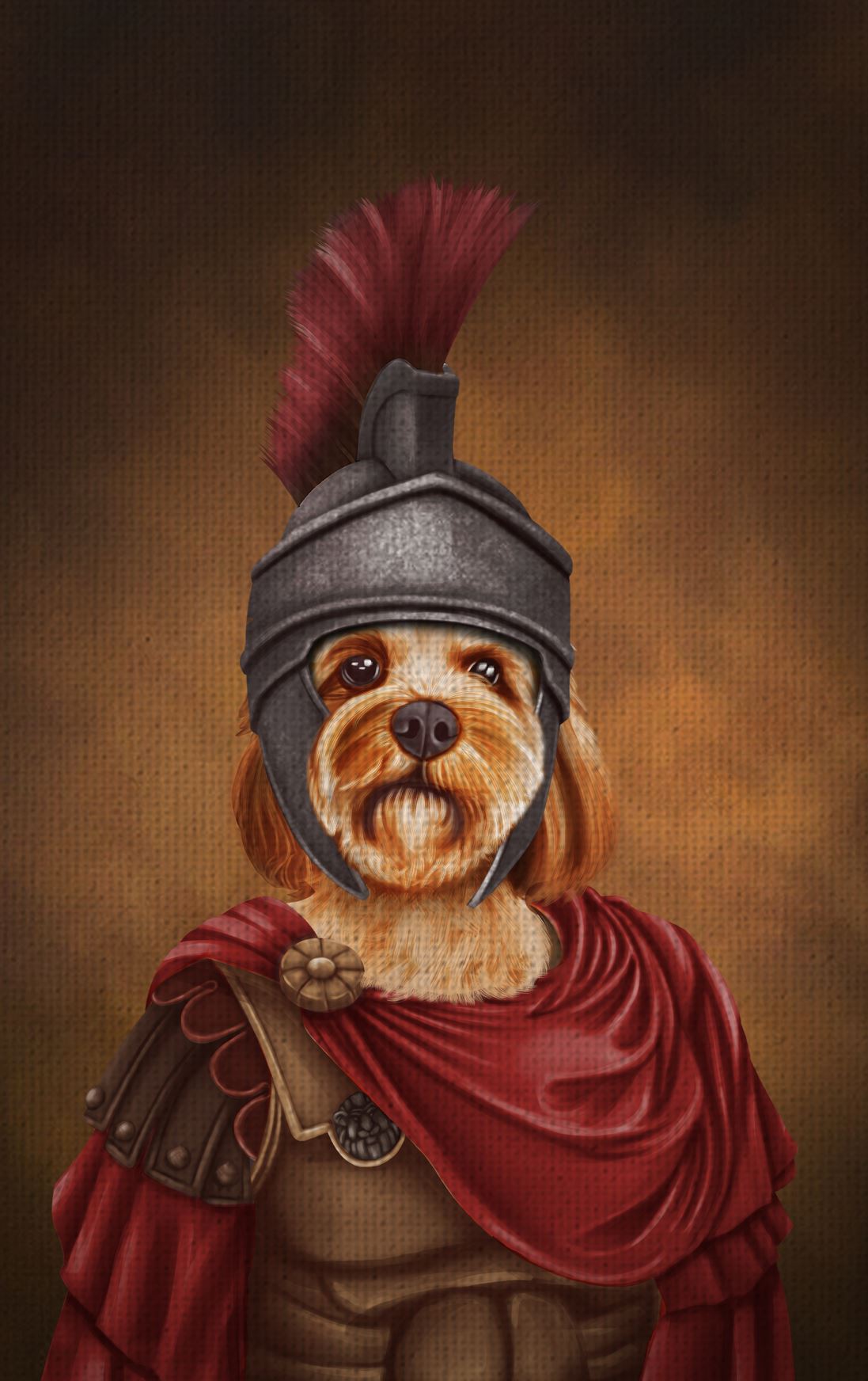 Cavoodle dog in a roman gladiator outfit