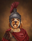 Cavoodle dog in a roman gladiator outfit